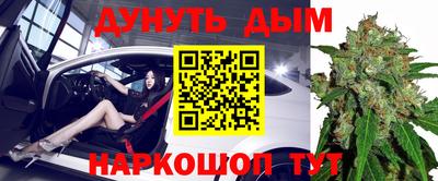 наркотики Кингисепп