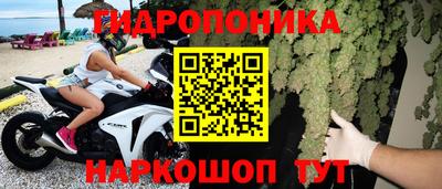 наркотики Кингисепп