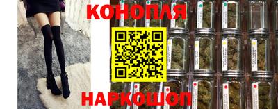 стафф Кинель