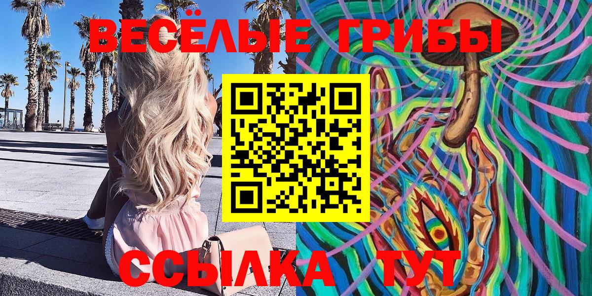Псилоцибиновые грибы Psilocybine cubensis Карпинск